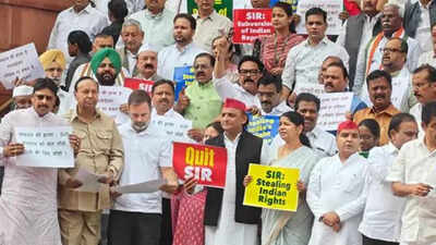 INDIA bloc to meet today to finalise plan for anti-SIR agitation