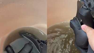 Viral video shows how dirty helmet padding gets: Easy steps to clean them without hassle