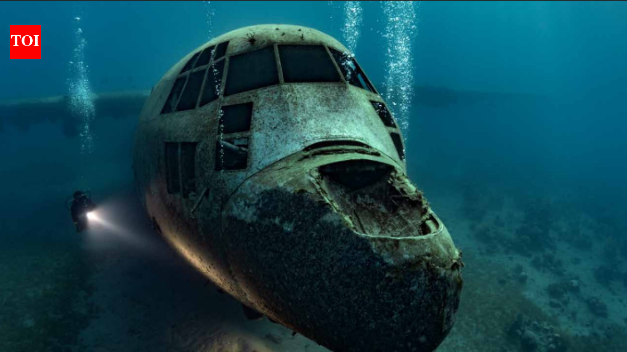 Jordan sank a retired military plane underwater in 2017; it now hosts fish, coral and marine life