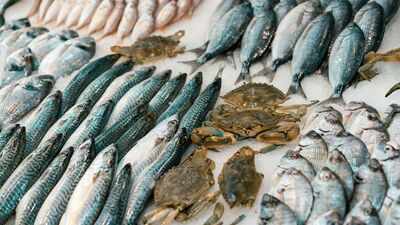 7 Things you must know before buying fish