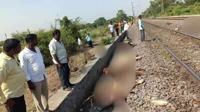 Delhi-Hyderabad train runs over sheep; RPF puts toll at 195, owner at 375