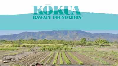 In 2019, Jack Johnson's foundation bought neglected farmland in Hawaii; six years later, it reported over 40,000 pounds of produce harvested and more than 2,200 students welcomed on field trips