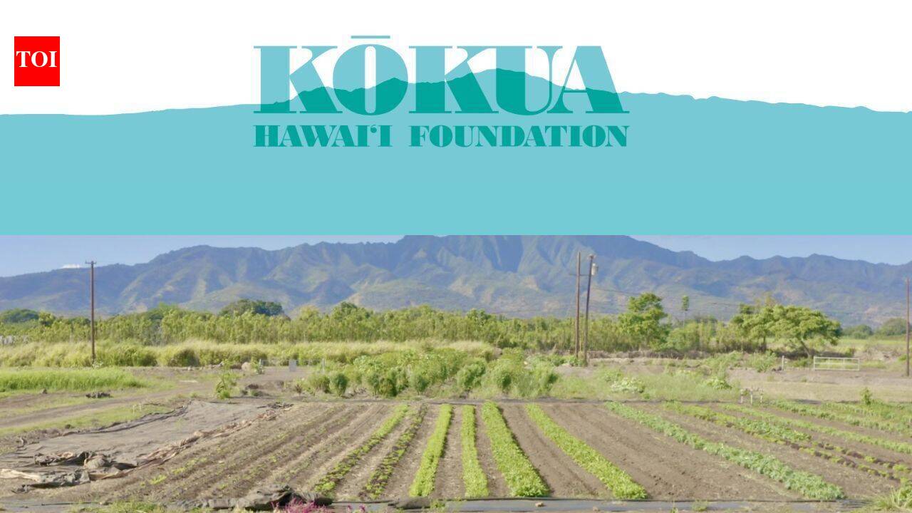 Jack Johnson’s foundation transformed neglected Hawaii farmland into a thriving farm for students