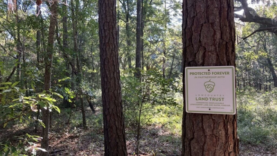 South Carolina will combine a 102-acre nature preserve with 50 affordable homes on Johns Island; hundreds of acres of green space are protected