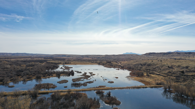 New Mexico researchers use drone images to train AI to count ducks, geese and cranes; early tests show 95% detection accuracy