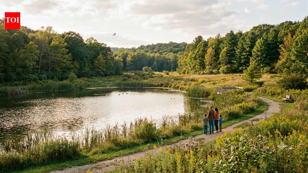 From 'exhausted' farmland to a thriving sanctuary: How one family turned 250 acres into a living masterpiece.