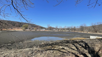 In 2025, pollution and dredging forced wildlife out of Pennsylvania’s Crystal Lake; after months of rehabilitation and cleanup, 49 musk turtles were released back into the lake