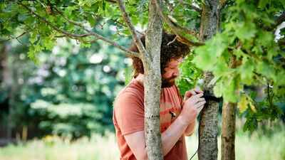 A London museum's urban garden collected more than 11 million environmental records in one year; 50 sensors tracked heat, birdsong and underwater sounds