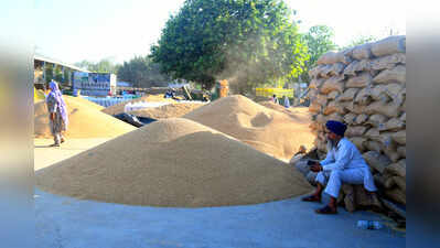 Wheat’s MSP hike of Rs 25/quintal insufficient: Farmers