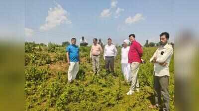Day after ex-IAS officer Divya Mittal flags delay, work begins on Mirzapur school