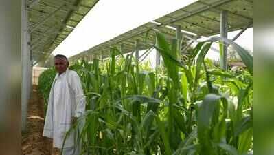 Jodhpur drives PM Kusum projects as state leads the chart in country