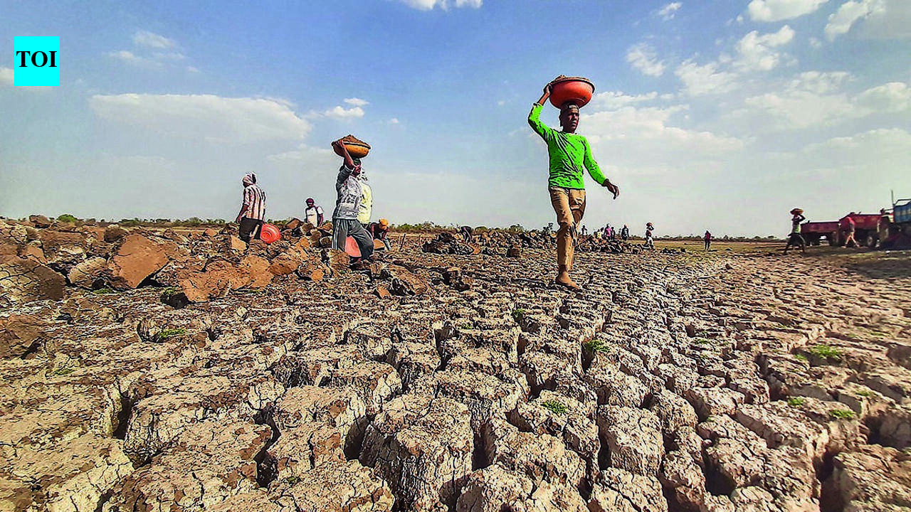 Drought shadow looms over rabi season, agriculture minister Bharne urges farmers to opt for low-water crops