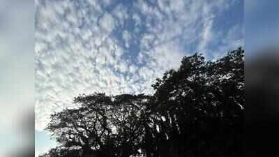 Goa records driest monsoon in 50 years