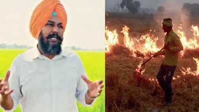 Punjab: Sharply down, but crop choices keep the challenge alive