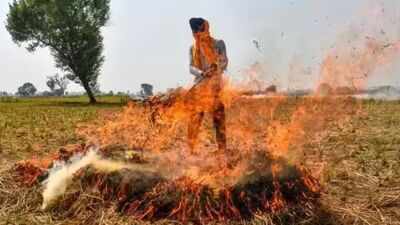 Haryana: Down to 600, but how close can it get to zero — and how soon?