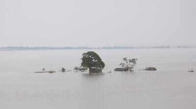 Gandak breaches two more bunds in Saran, Muzaffarpur; IAF joins relief operations