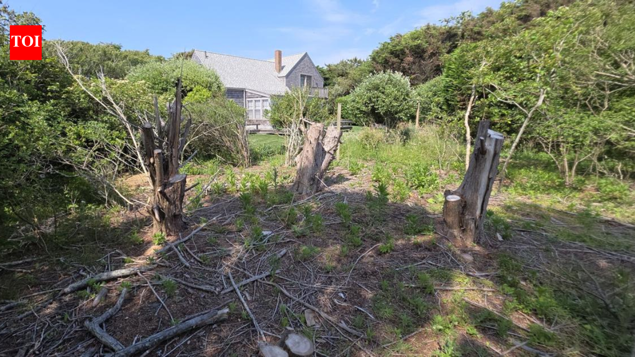 A Massachusetts couple won a $310k land dispute against their neighbour without using lawyers