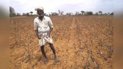40 more taluks declared drought-hit, total rises to 217