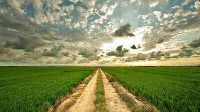 Philip Rietveld assembled nearly 1,500 acres of Illinois and Indiana farmland over his lifetime; after his death in 2026, his family sold 23 tracts for $22.46 million, with one fetching $32,600 an acre