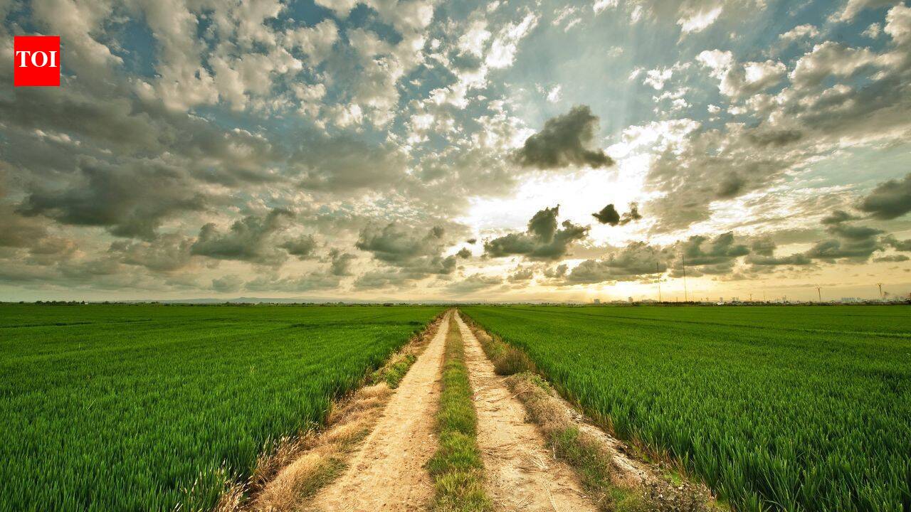 Illinois-Indiana farmer’s 1,500-acre land legacy sells for $22.46 million after his death
