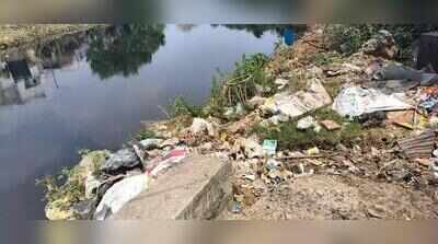 Sewage continues to flow into neglected Retteri lake in Chennai