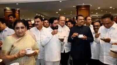 Mahayuti likely to opt for 3-1-1 formula in MLC polls