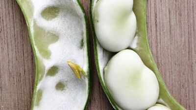 A Somerset family has grown the same broad bean since 1875; 150 years later, the heirloom has entered a national seed collection