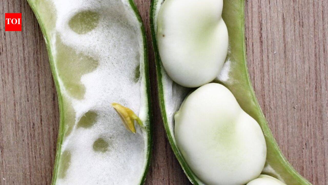 Somerset family grows same broad bean since 1875; heirloom joins national collection