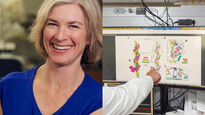 Jennifer Doudna’s team found an ancient CRISPR ancestor in viruses using a never-before-seen 'gapped' DNA code; the smaller VIPR system can target broadly and may become a new gene-editing tool