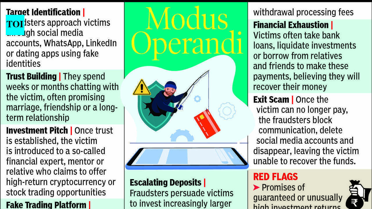 Businessman loses ₹81.41 lakh in 'pig-butchering’ investment scam