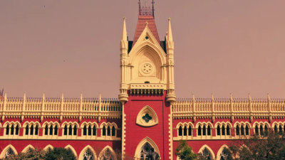 Prove you are Indian, Calcutta HC tells SIR-deleted ‘Bangladeshi’