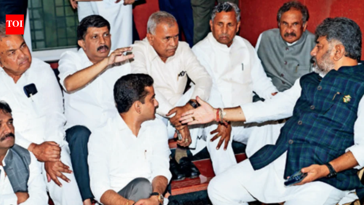 Judicial Intervention: Karnataka Chief Electoral Officer Resolves High-Stakes Voter Deletion Crisis