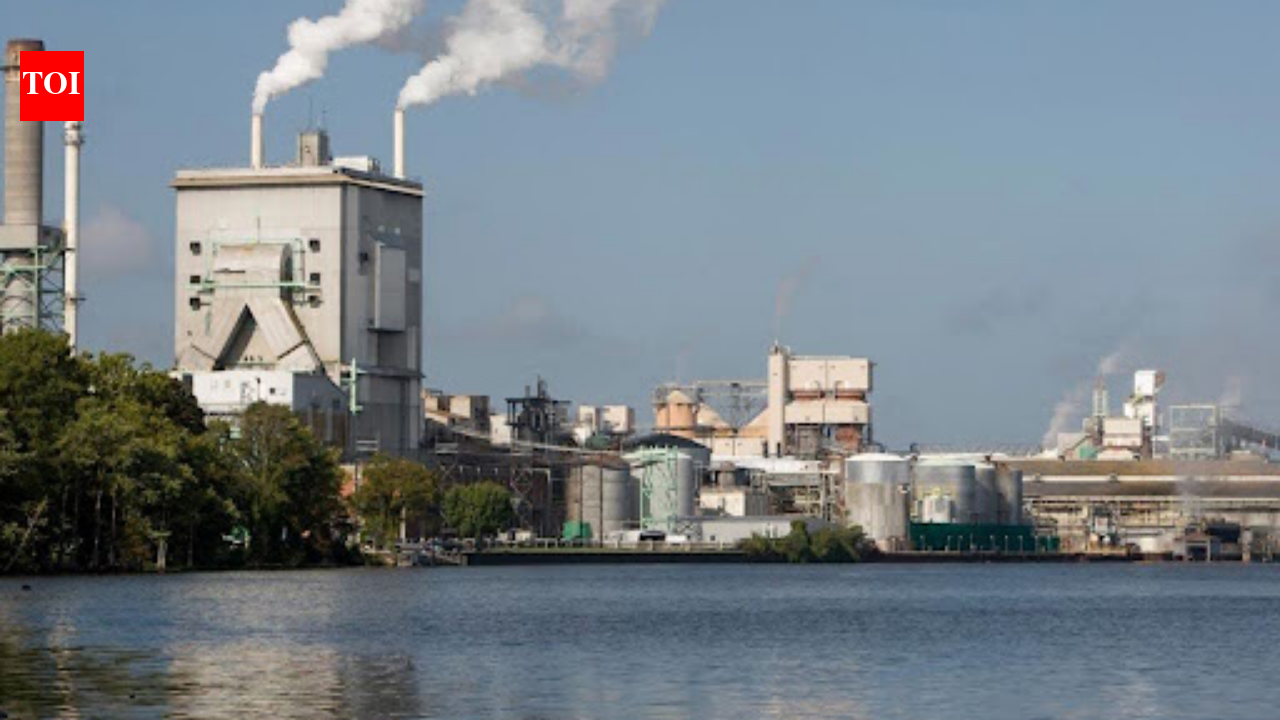 After 50+ years of pulp-mill pollution, regulators propose restoring North Carolina's Roanoke River