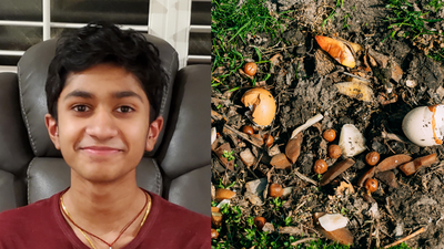Teenager tests cow, chicken, fish and bat manure and finds that cow fertiliser holds the richest mix of antibiotic-resistant bacteria