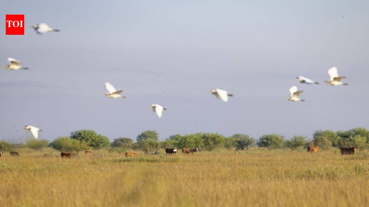 O'Connor ranching legacy began in 1834; 6,409 acres of Texas prairie protected 191 years later