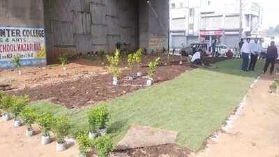 Singhani bypass stretch on NH-33 to get a green makeover