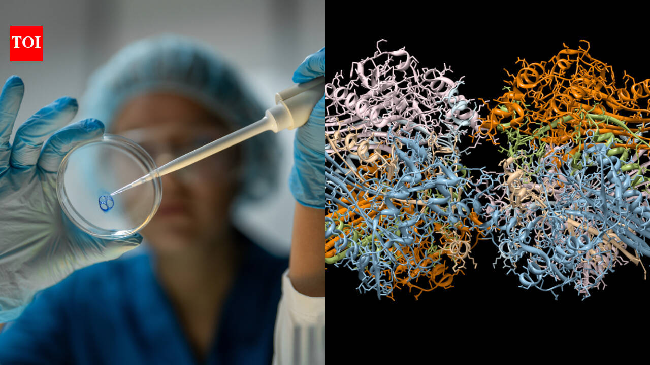 Scientists revive 160-million-year-old proteins to fight drug-resistant bacteria