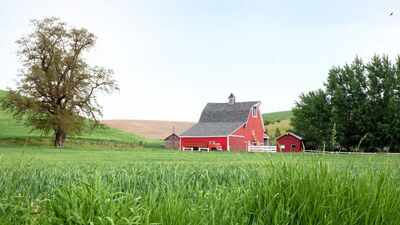 An Iowa family lived on and worked its farmland for 84 years as Tom Woods gradually expanded the operation; now 1,209 acres are being split into 13 tracts and auctioned, ending a family land chapter