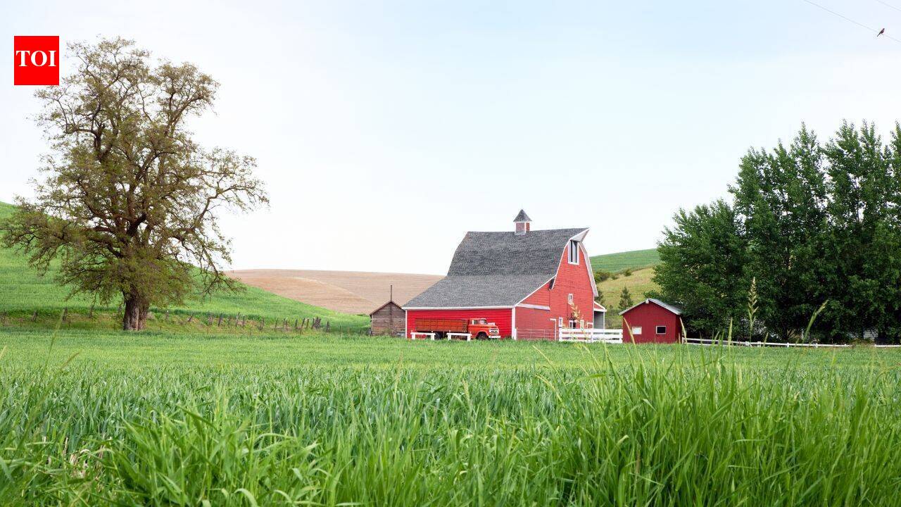 Iowa family’s 84-year farming legacy ends as 1,209 acres go up for auction