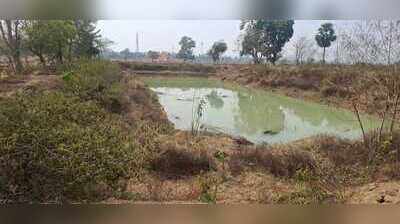 Decade-long roadblock pushes Keonjhar fish hatchery towards closure