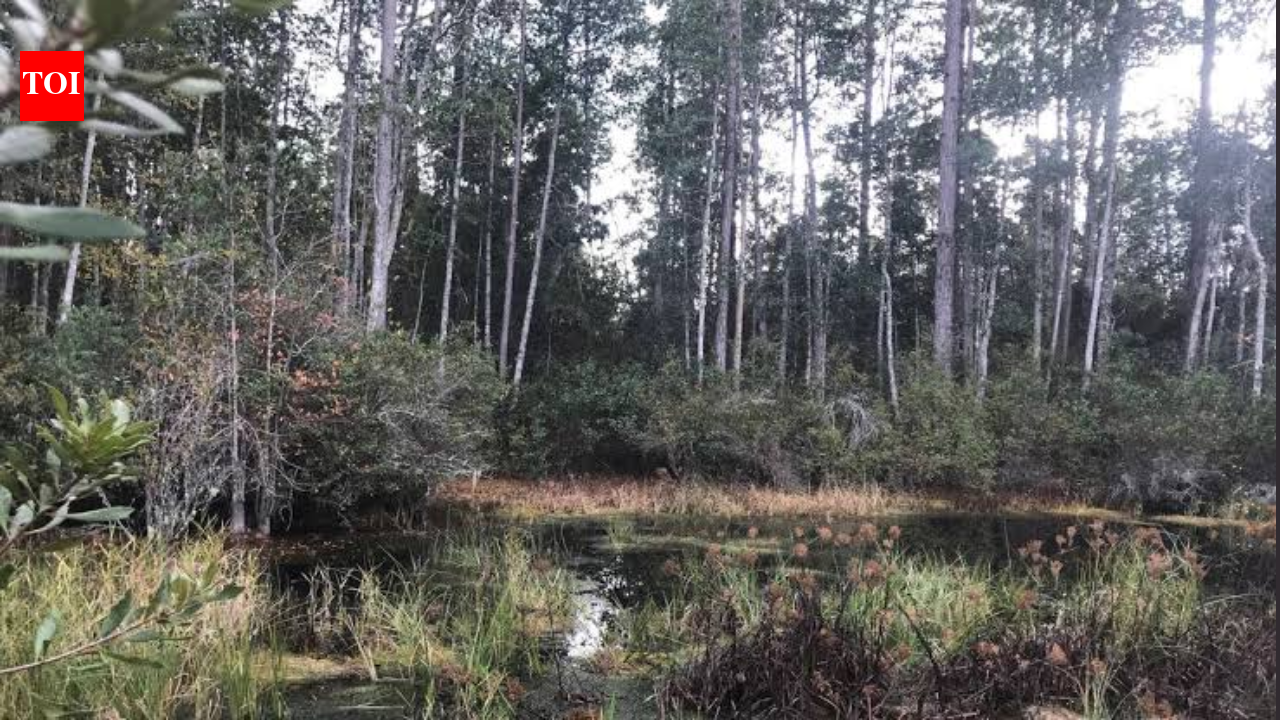 Florida approves $72.6M to protect 10,770 acres, including wildlife and farmland