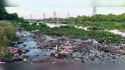 NGT plea challenges Centre move to relax industry distance buffers