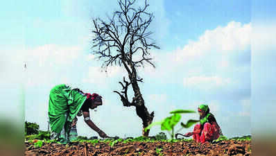 Action to be taken against moneylenders, financial institutions if found harassing farmers over loan repayment