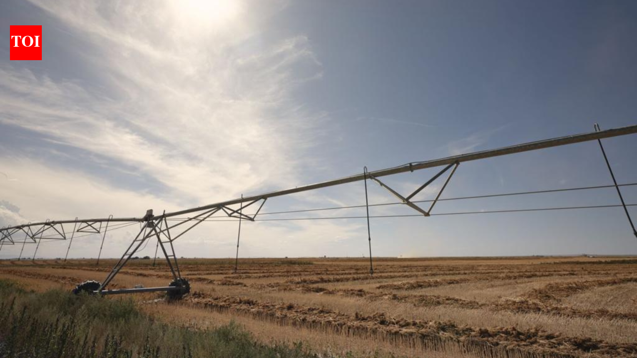 Idaho family has farmed 1,000 acres since 1950; after the state shut off its irrigation water...