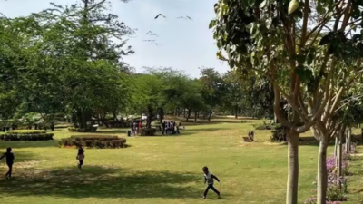 Safety audit after Aastha Kunj gang-rape: DDA to fortify parks with gunmen, CCTVs