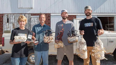 Two Iowa farmers gave up pigs and started growing mushrooms; their abandoned livestock buildings became an artisan food business