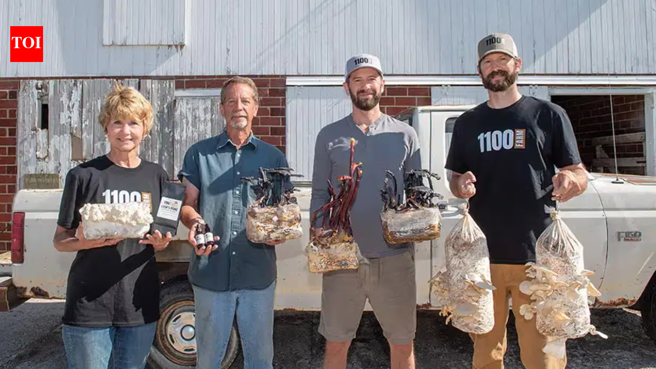 Two Iowa farmers quit pigs; their old hog barns became a mushroom business