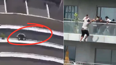 'Came to stay at Airbnb': 28-year-old man dies by suicide after jumping from 41st floor of Noida's Supernova building