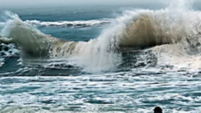 Baywatch - Warmer waves sound warning bells