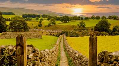 ​For 10 years, farmers across 13,500 hectares of southern England coordinated habitat work; one cluster recorded a 346% rise in corn buntings and a 183% rise in butterfly abundance over the decade